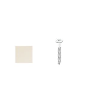 Edelstahlschraube mit farbigem Kopf creme