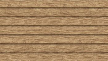 Fronto Lamellenpaneel Honey Oak 2,95m